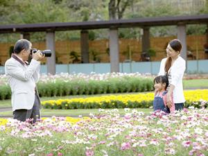 所沢市周辺で結婚相談所に入会するなら