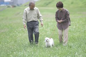 東京で素敵なお見合いをすることが出来る