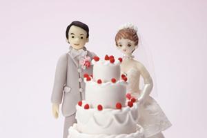 ナシ婚のサービス内容や魅力とは